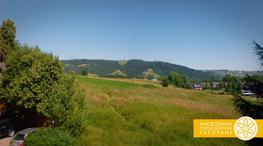 View from the room's balcony | Room No.4 Lipki Hill in Maciejowka Guesthouse